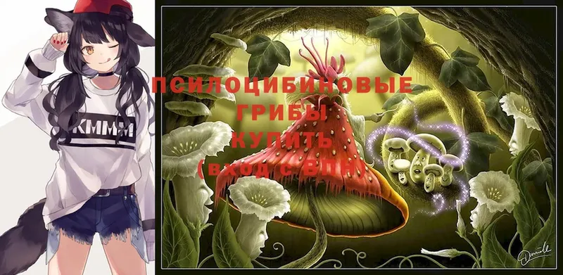 Галлюциногенные грибы Cubensis  hydra вход  Пыталово 